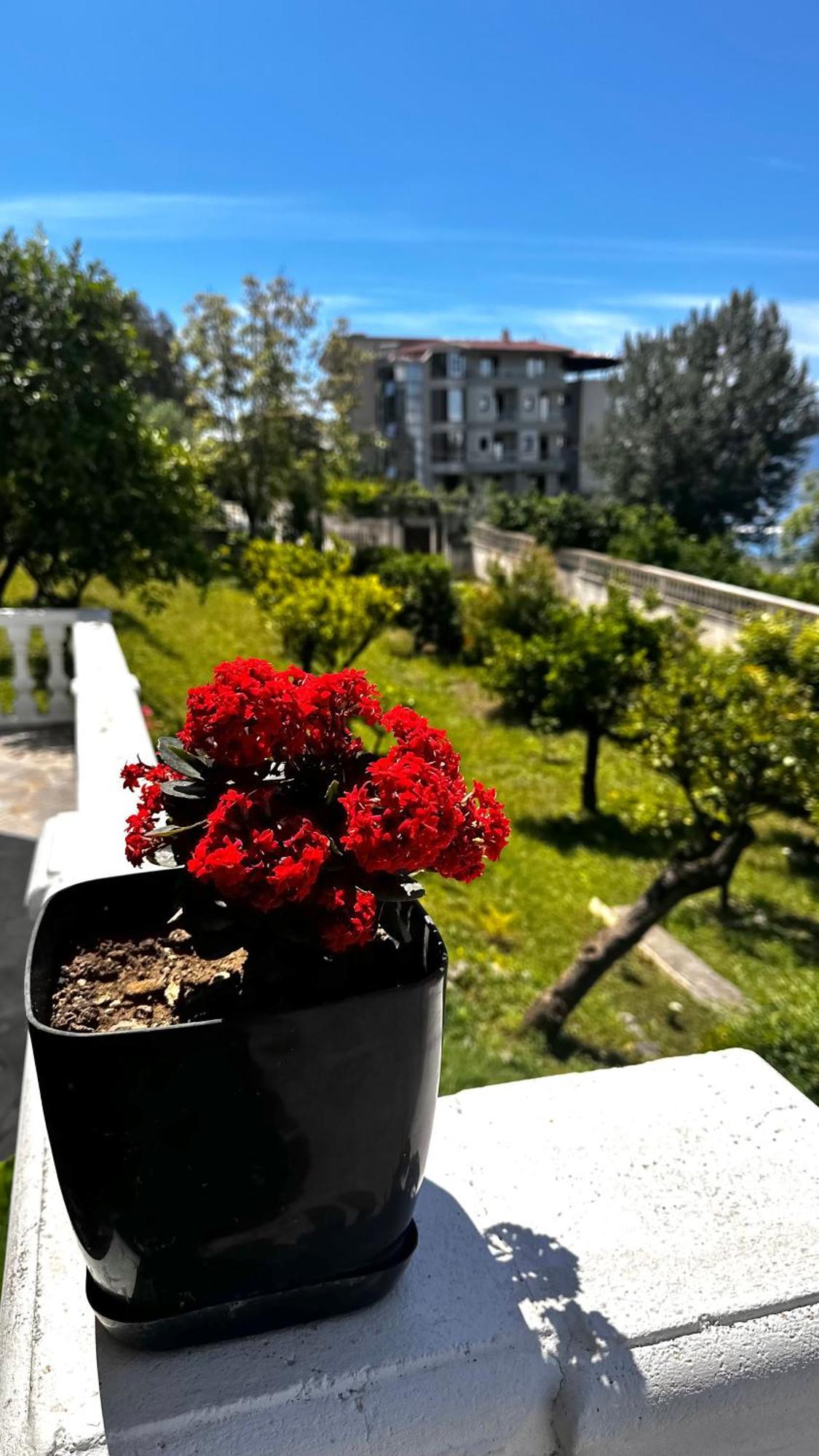 Villa Mare - For Families & Groups فلورا المظهر الخارجي الصورة